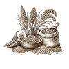 Unpolished Millets & Grains